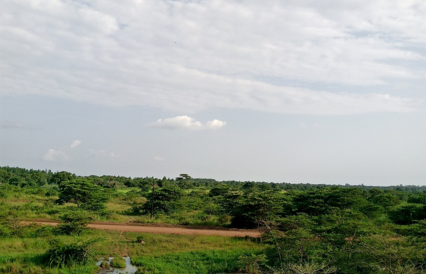 Flooding in Eastern Uganda: Causes & Solutions