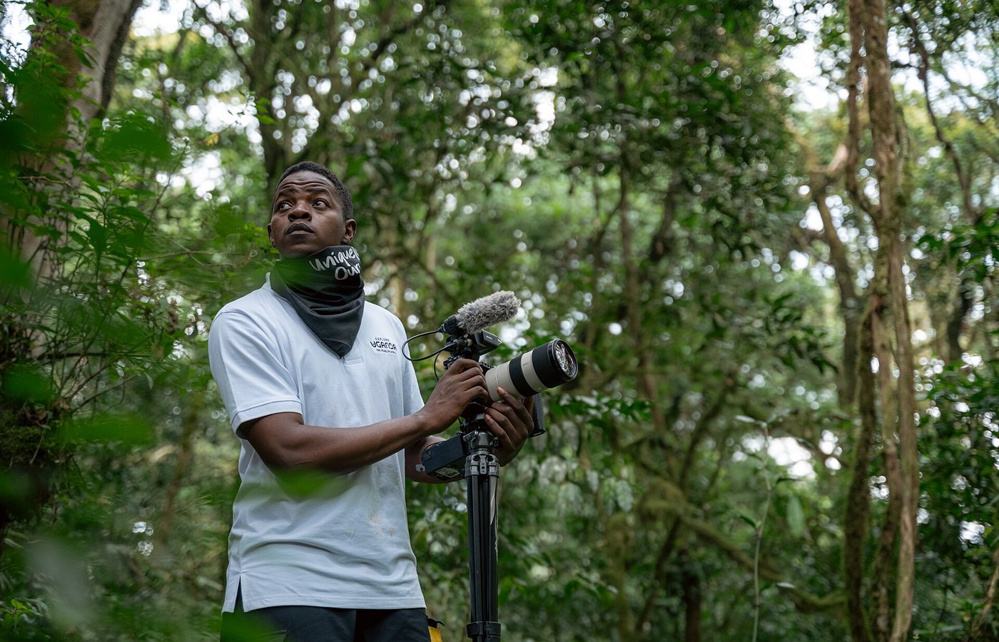 International Day of Forests event image