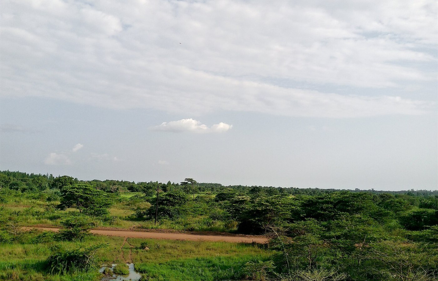World Wetlands Day event image